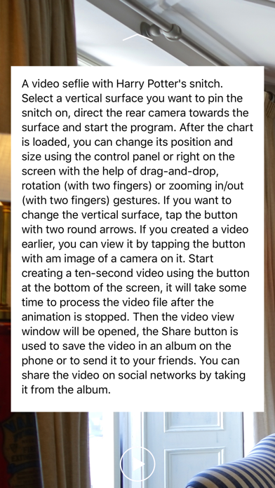 Harry Potter's  Golden Snitch Screenshot