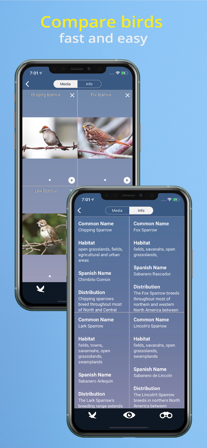 Bird Id USA - backyard birds