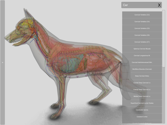 3D Canine Anatomyのおすすめ画像7