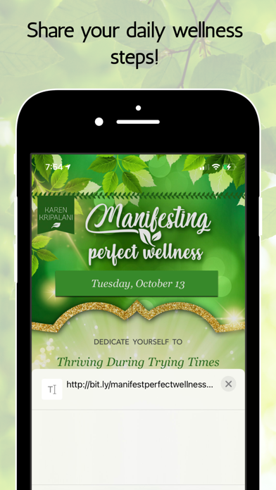 Manifesting Perfect Wellness Screenshot