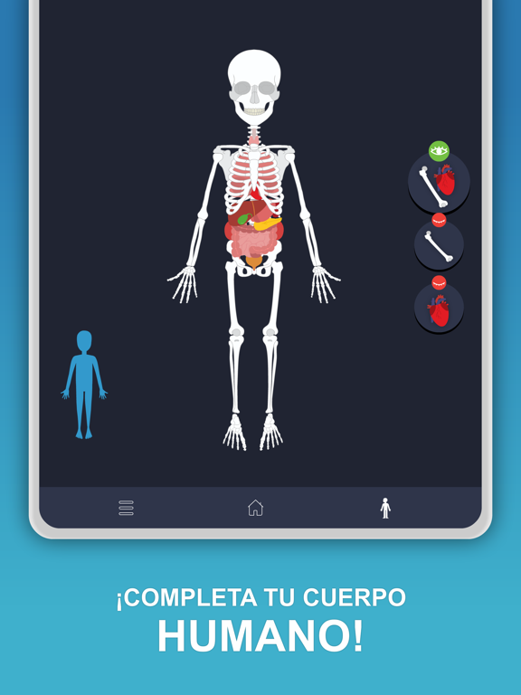 Screenshot #5 pour Anato Trivia - Quiz Anatomía