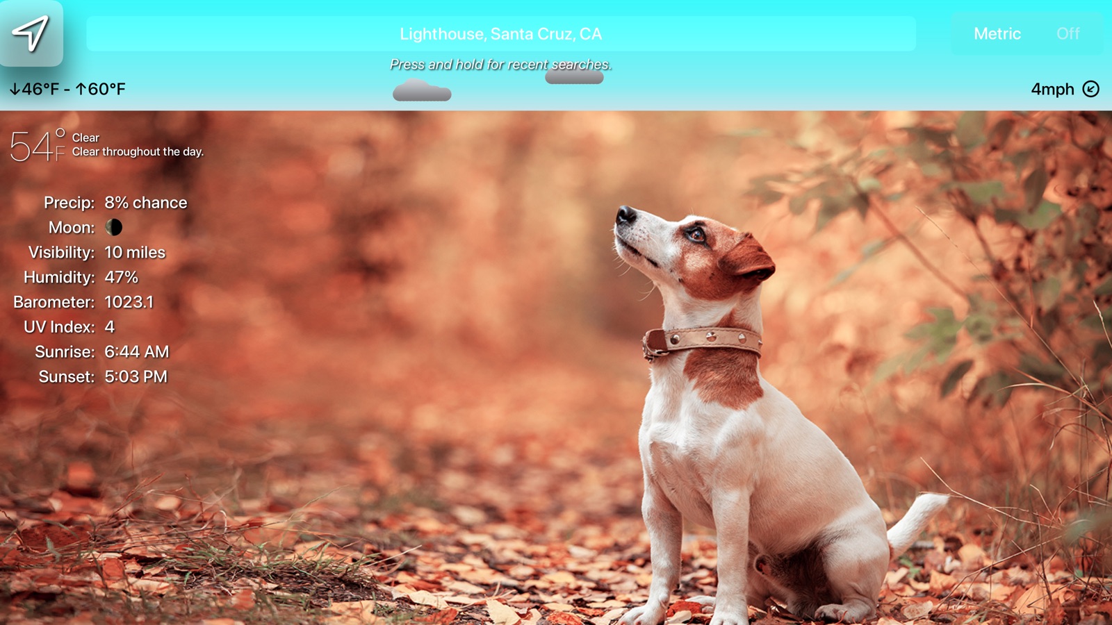 Sundoggy apple_tv screenshot 1
