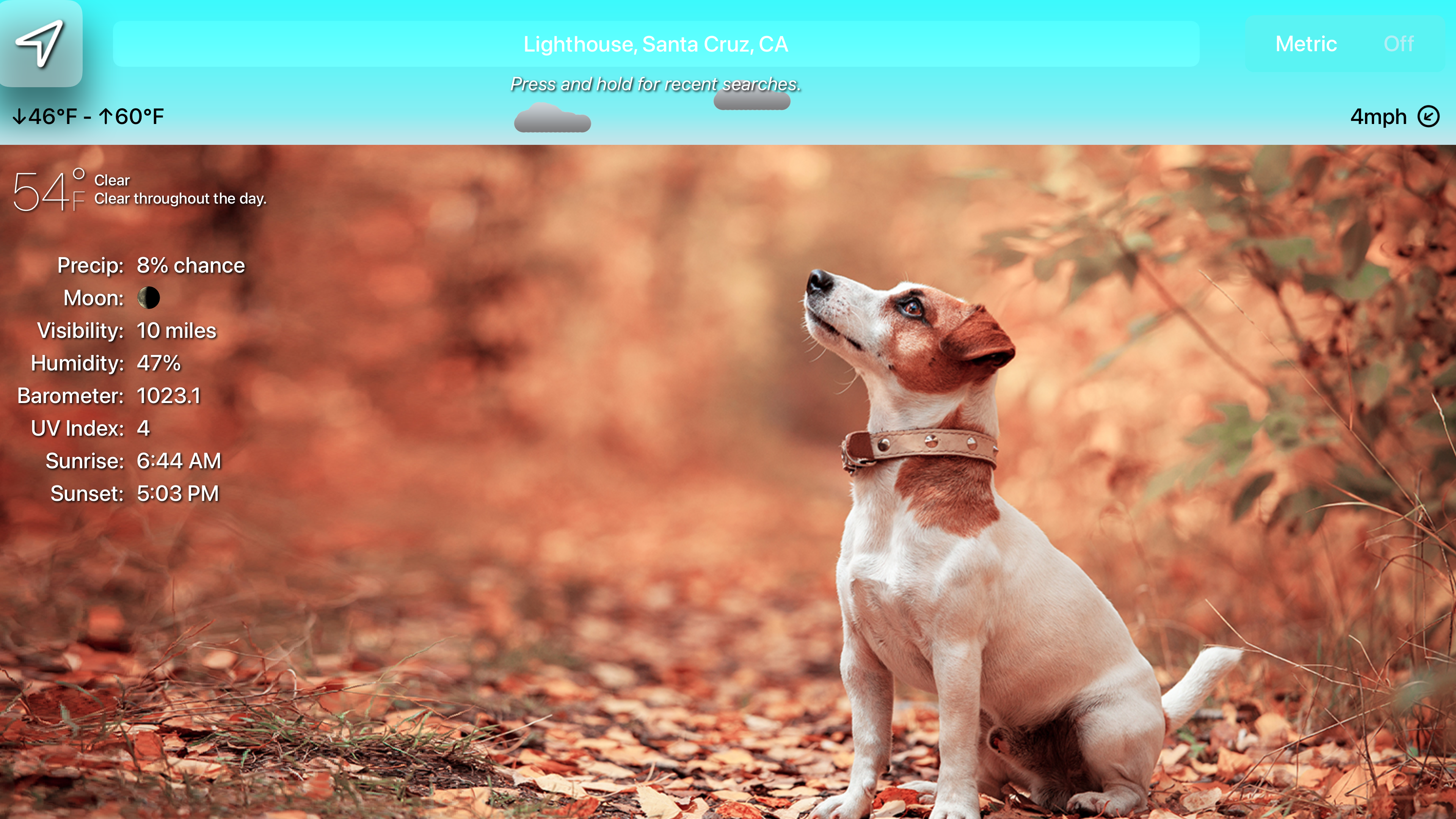 Sundoggy