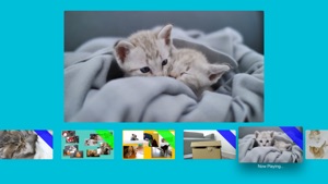 Kitten TV screenshot #2 for Apple TV