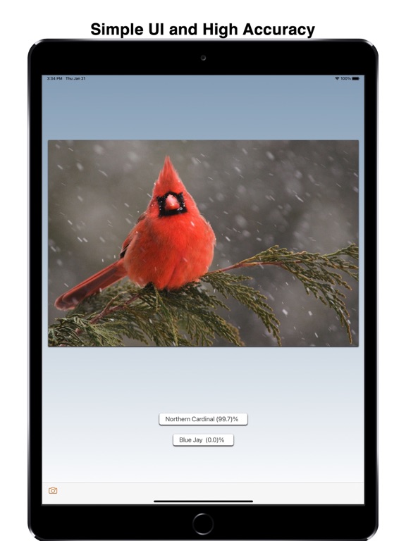 Screenshot #4 pour Bird ID: Use AI to id birds