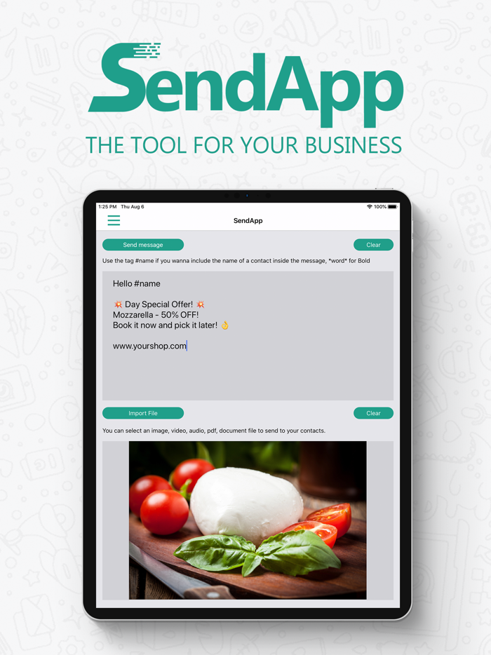SendApp Professional