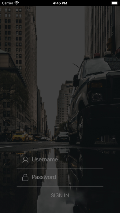 Joluz Driver Screenshot