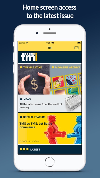 TMI - Treasury Management