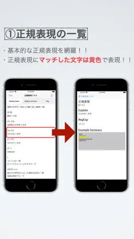 Game screenshot 正規表現(Regular Expression) apk