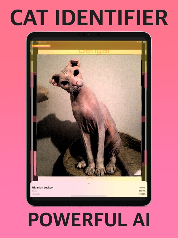 Screenshot #5 pour Cat Identifier