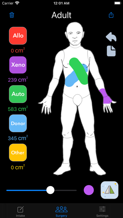 Medical Burn Screenshot