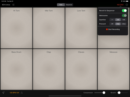 Rhythm Pad Pro iPad app afbeelding 4