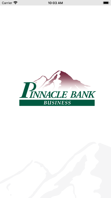 Pinnacle Bank Business Screenshot