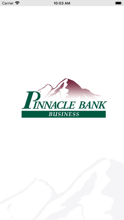 Pinnacle Bank Business