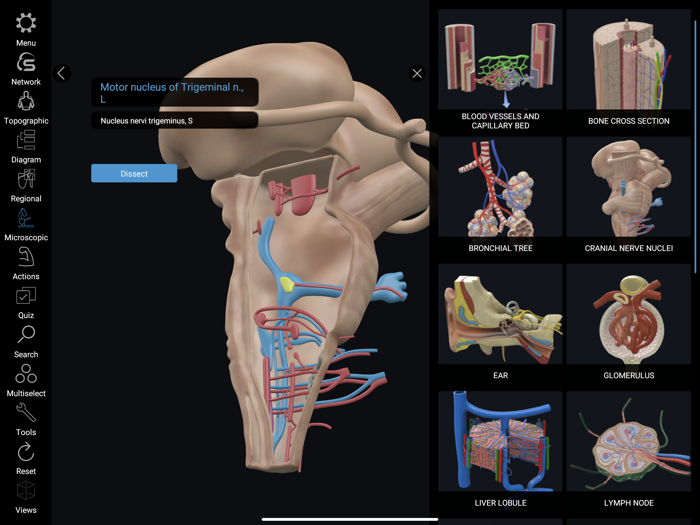 3D Organon Anatomy Enterprise