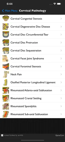 Game screenshot iSpineCare apk