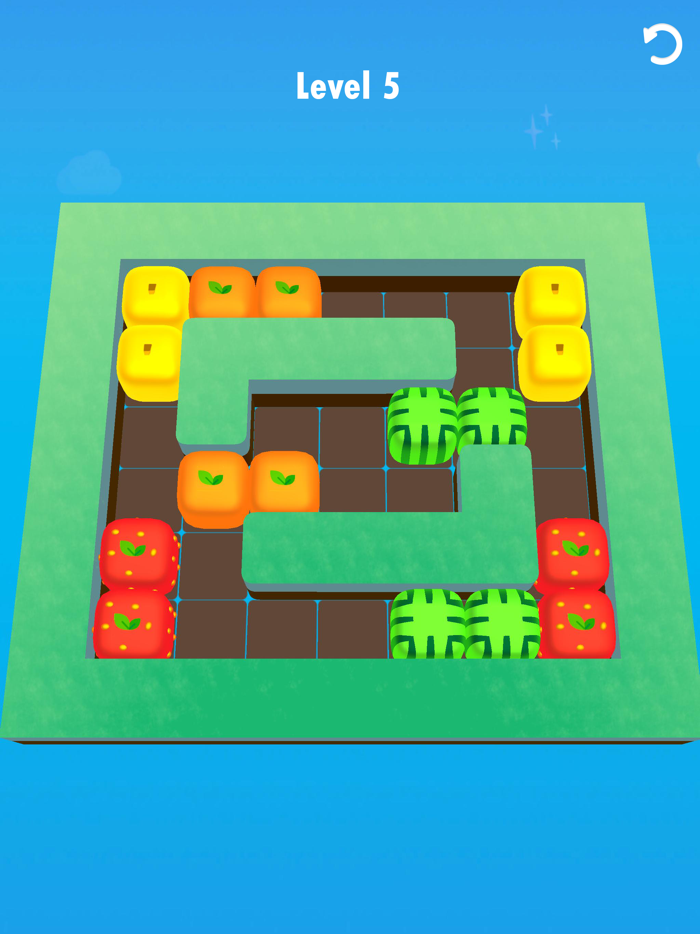 Snake Maze Puzzle