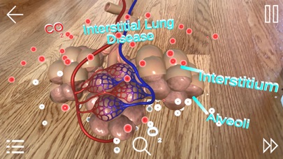 HER2-Targeted Therapy Screenshot