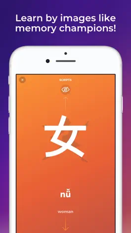 Game screenshot Scripts: Learn Chinese writing mod apk