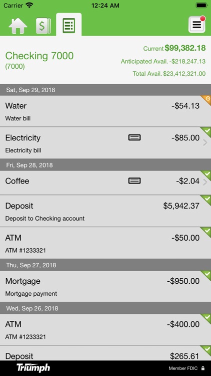 Triumph Business Banking screenshot-4
