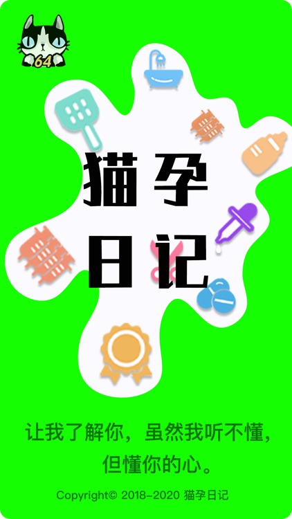 猫孕日记