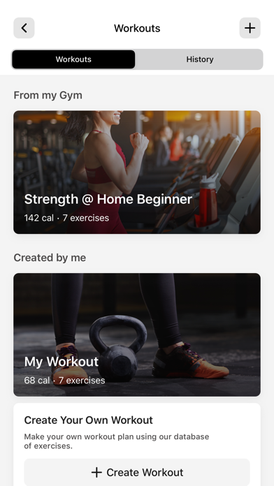 TheBXNGClub Screenshot