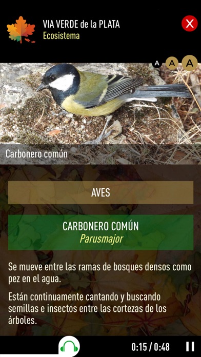 VIA VERDE DE LA PLATA... Screenshot