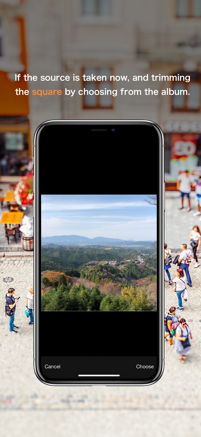 minista Professional