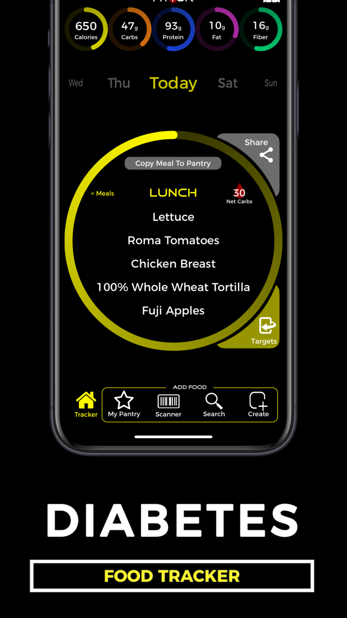 Diabetes Food Tracker  Fittur