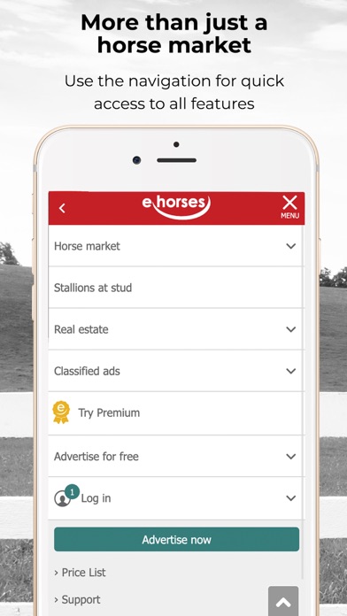 ehorses Screenshot