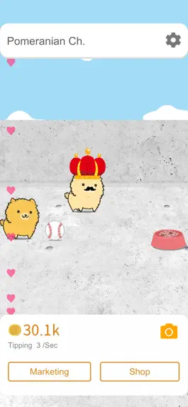 Game screenshot Pomeranian Channel apk