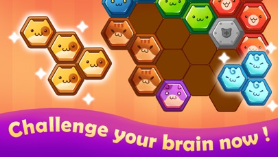 Hexa Puzzle Tangram Game Screenshot