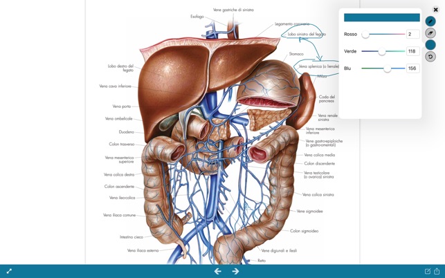 Atlante di Anatomia(圖4)-速報App