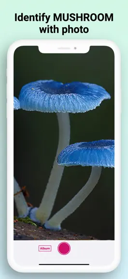 Game screenshot Mushroom Identifier - Fungi Id mod apk
