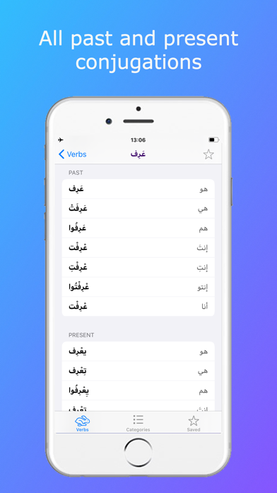 Levantine Arabic Verbs Screenshot