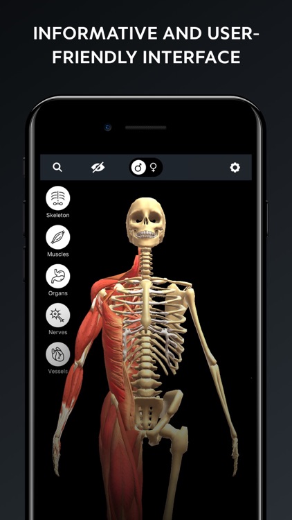 Human Body Atlas: 3D Medical screenshot-3