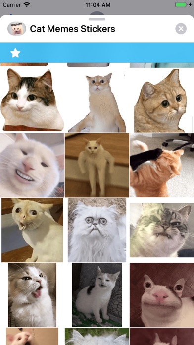 Cat Memes Stickers Screenshot