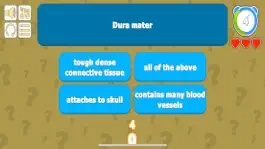 Game screenshot Nervous System & Anatomy Quiz apk