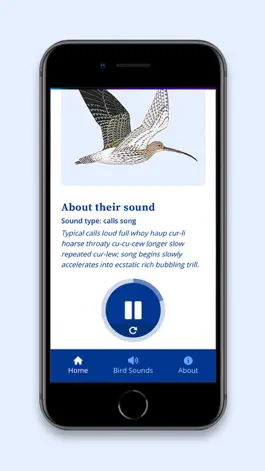 Game screenshot DK RSPB Bird Sounds apk