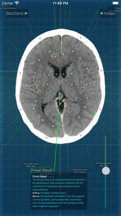 X-Anatomy Pro Screenshot