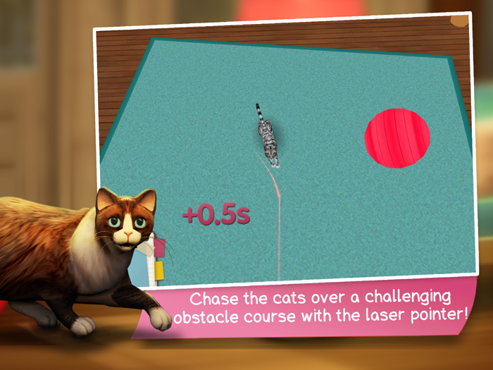 CatHotel - Play with Cute Cats