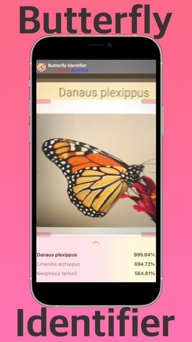 Butterfly Identifier (NA) Screenshot