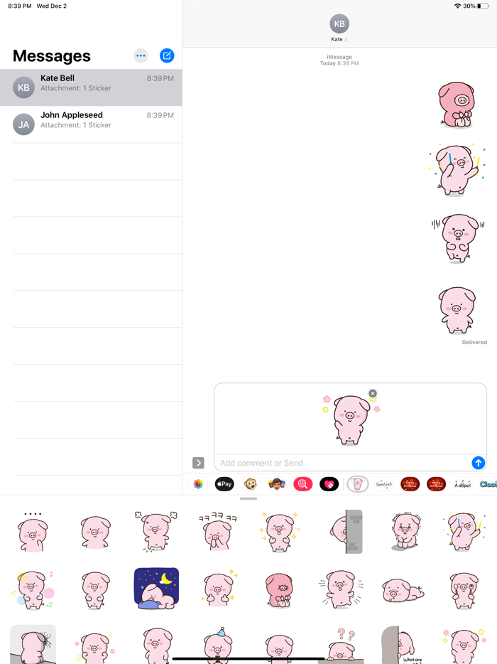 Cutie Lovely PinkPig