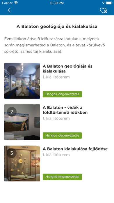Balatoni Múzeum Screenshot