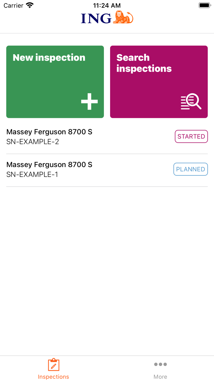 ING Lease Inspections