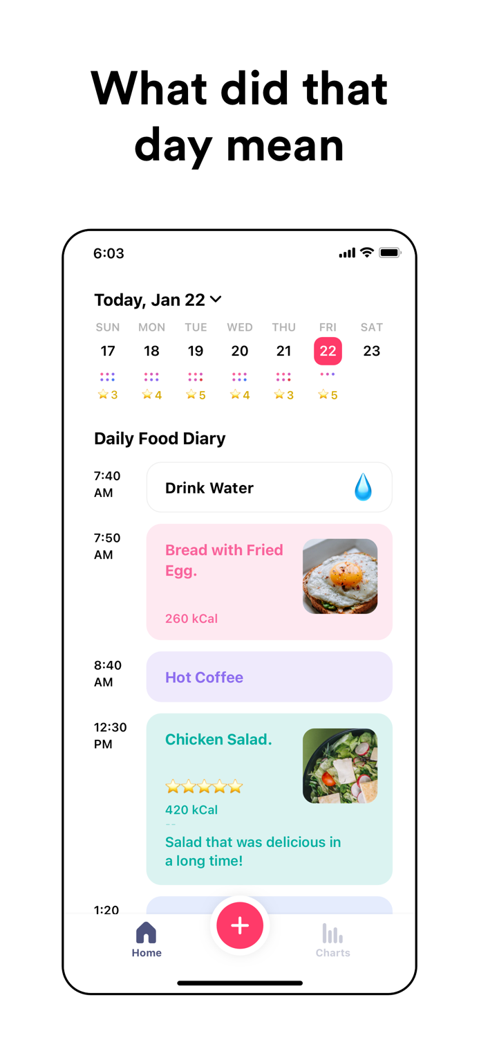 Day Made - Daily Food Diary