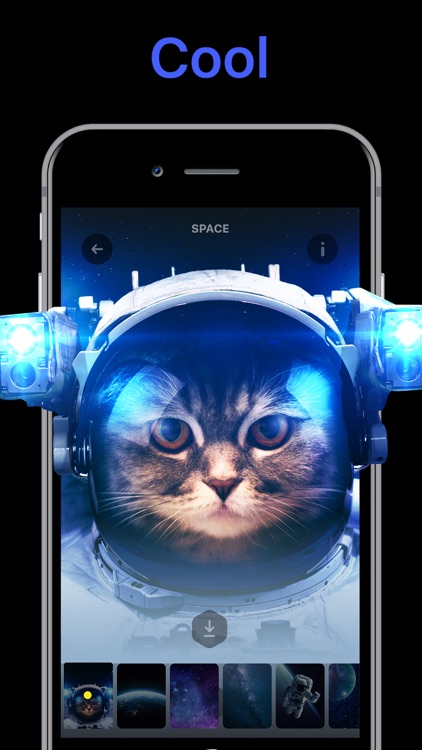 Live Wallpaper & Wallpapers HD