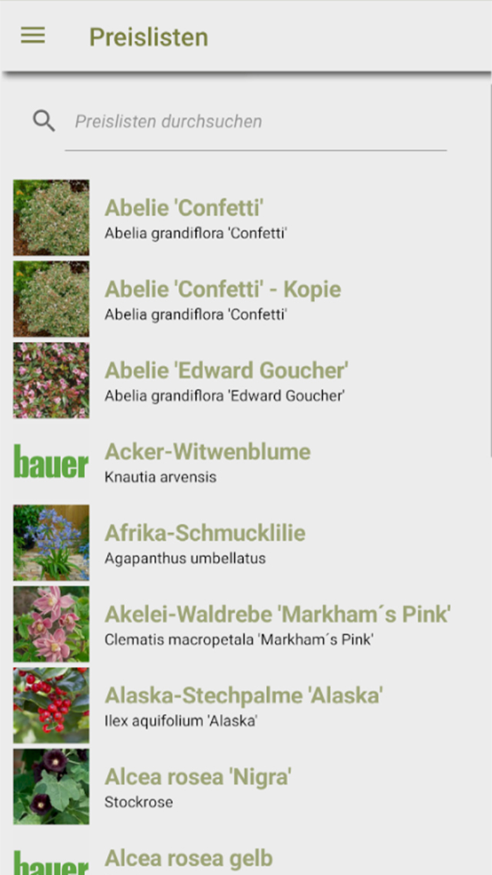 Preisliste Bauer Baumschulen