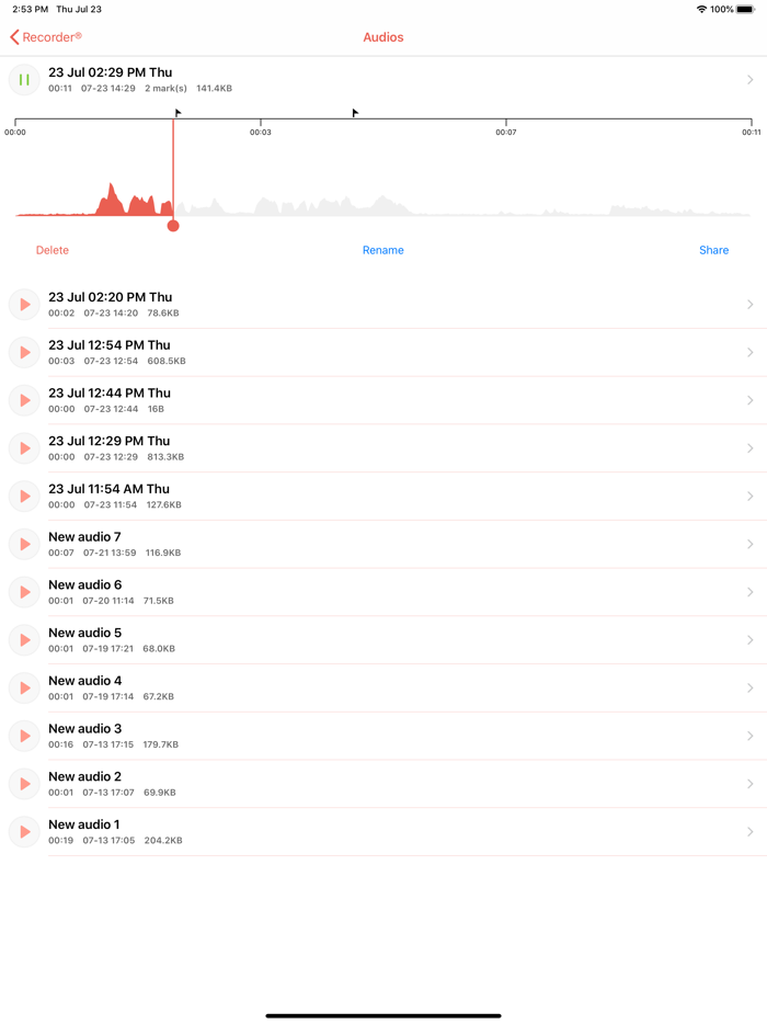 Recorder - Voice and Audio