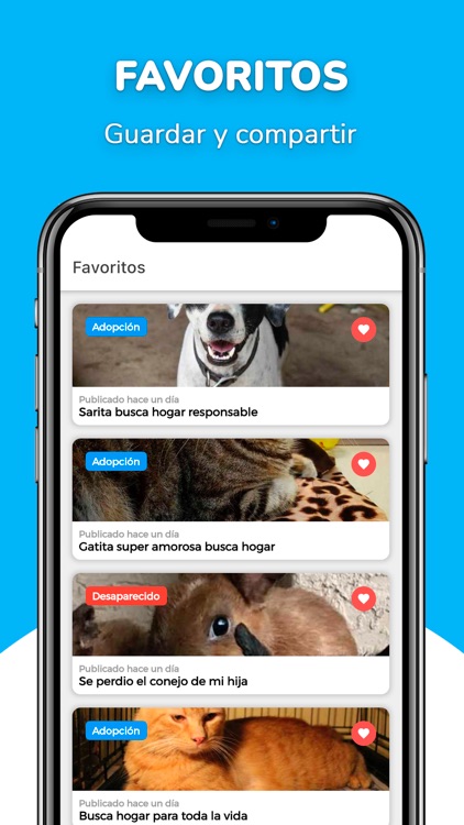 Taponto screenshot-4